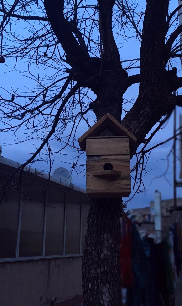 Birdhouse Rooms Tbilisi Luaran gambar