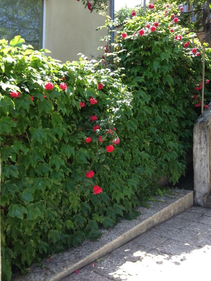 Birdhouse Rooms Tbilisi Luaran gambar